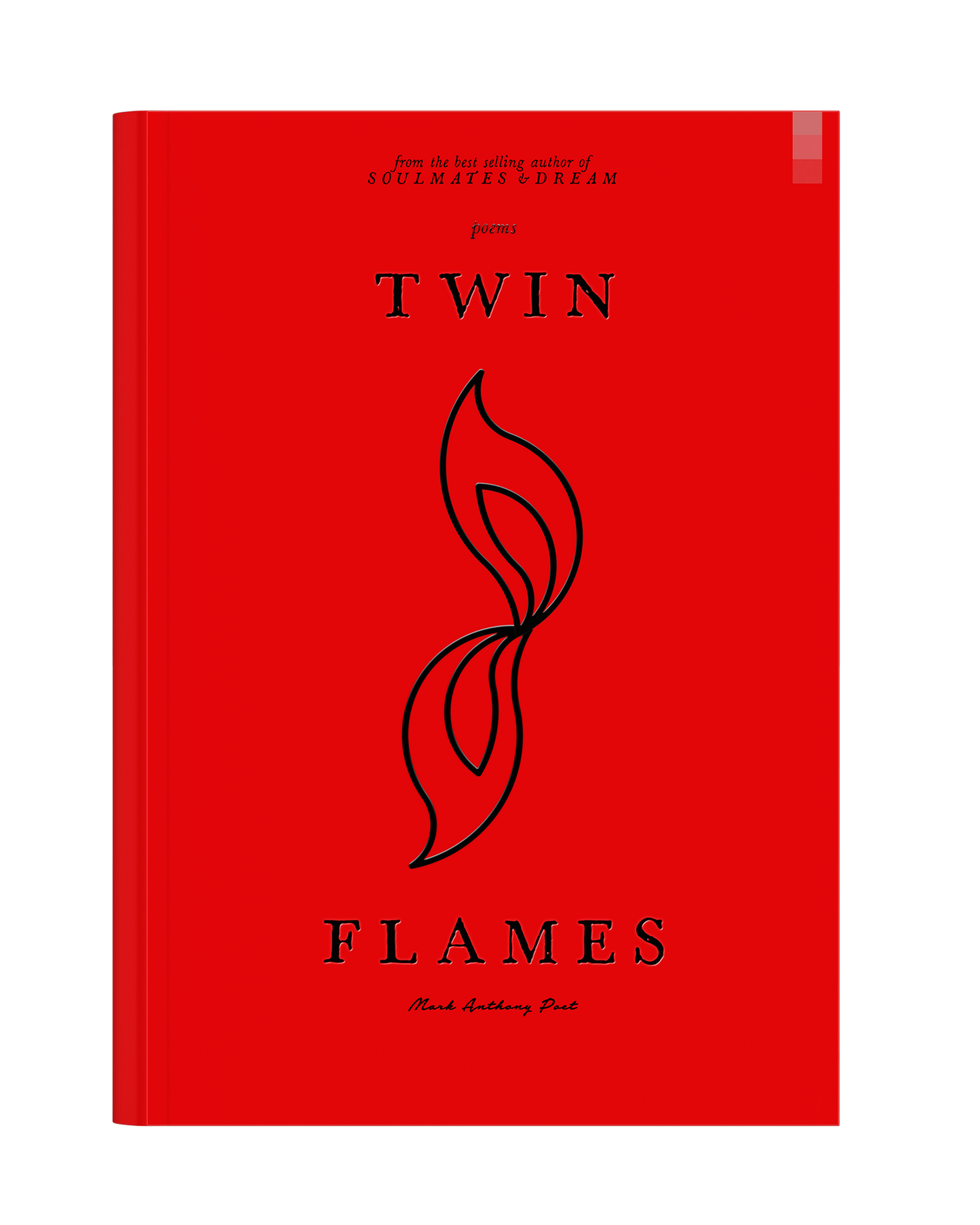 Twin Flames